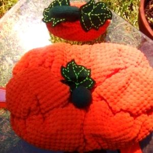 Dog PUMPKIN 😅 costume size SX  NWOT GREAT